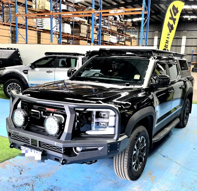 BUSHMASTER BULLBAR-BYD SHARK