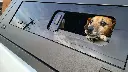 SLIDING-TUB-CANOPY-ARMORMAN4X4-8.webp