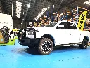 GWM ALPHA (1).webp