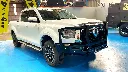 GWM ALPHA- BUSH MASTER BULLBAR  (7).webp