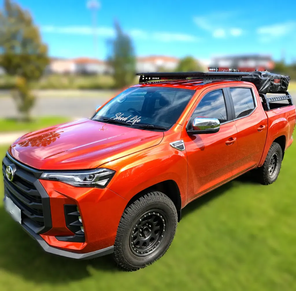 ROOF RACK BACKBONES-LDV
