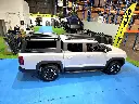 SOLID SIDE GLASS TUB CANOPY-BYD SHARK