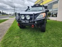 BUSHMASTER BULLBAR-BT50
