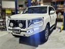 BUSHMASTER BULL BAR- PRADO150